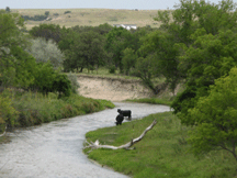 Little White River  at Soldier Creek, SD.